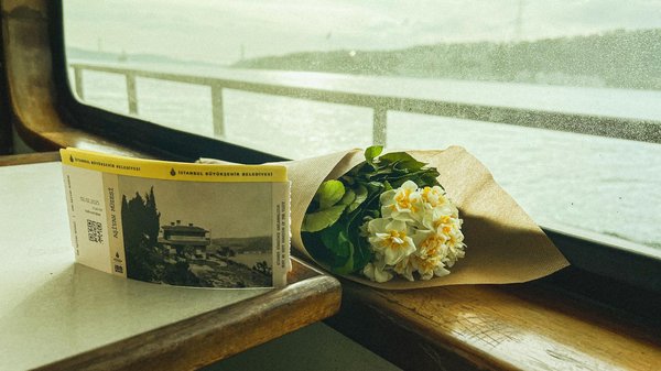 Camping Landes : luxe et nature pour des vacances inoubliables