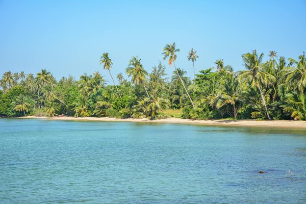 Locations de villas d'exception à ajaccio : votre évasion idéale